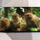 Imagen para el artículo titulado OnePlus 7 Pro es una merecida bofetada a todos los móviles de gama alta de más de mil dólares